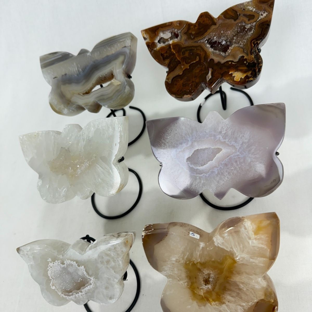 Agate Druzy Butterflies on Stands (8417) - 2.54kg