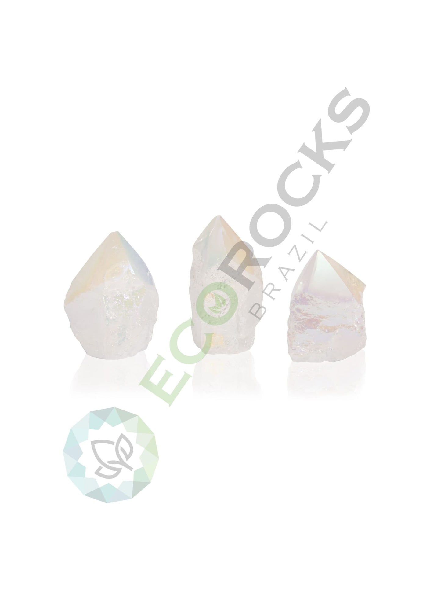 TOP POLISHED POINTS (COATED)