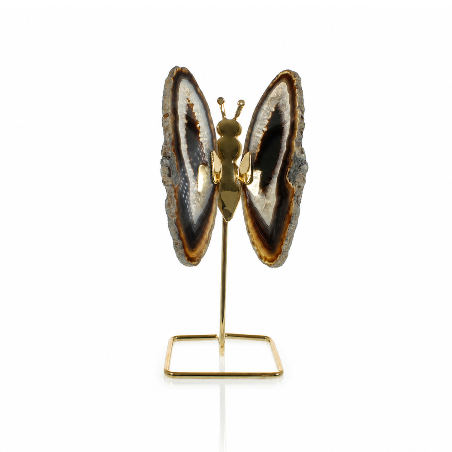 Black Agate Agate Butterfly on Stand (by pc)