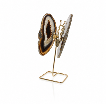 Black Agate Agate Butterfly on Stand (by pc)