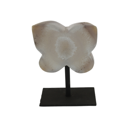 Agate Druzy Butterflies on Stands (2kg)