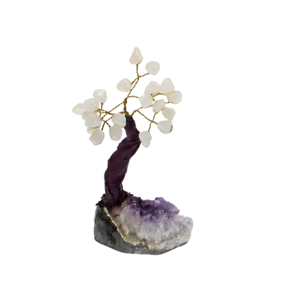 Gemstone Bonsai Tree (7pcs)