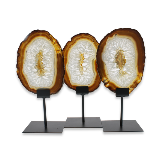 Agate Slice on Stands (2.27kg)