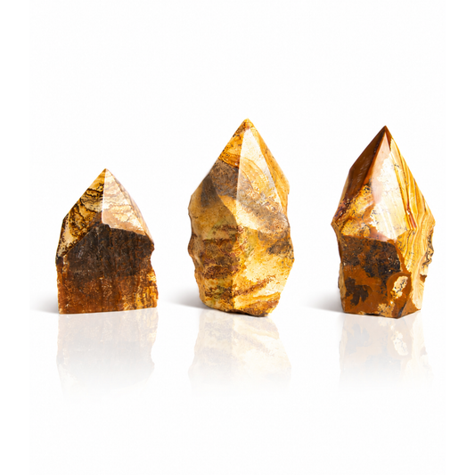 Picture Jasper Top Polished Points (by Kg)