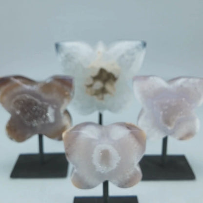 Agate Druzy Butterflies on Stands (2kg)
