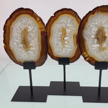 Agate Slice on Stands (2.27kg)
