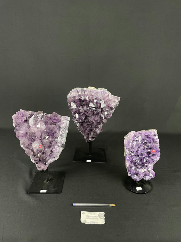 [PROMO LOT] Amethyst Clusters On Metal Stands - Super Extra (6446) - 12,7 kg