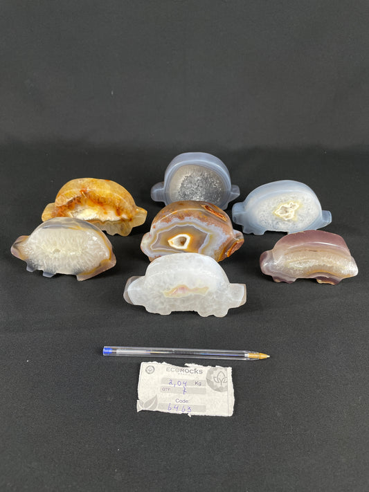 Agate Druzy Turtles (6463) - 2,04 kg